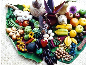 農產品溯源系統具有哪些優勢？